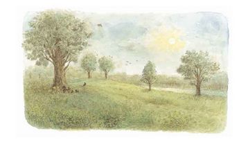 媽媽，為什麼？